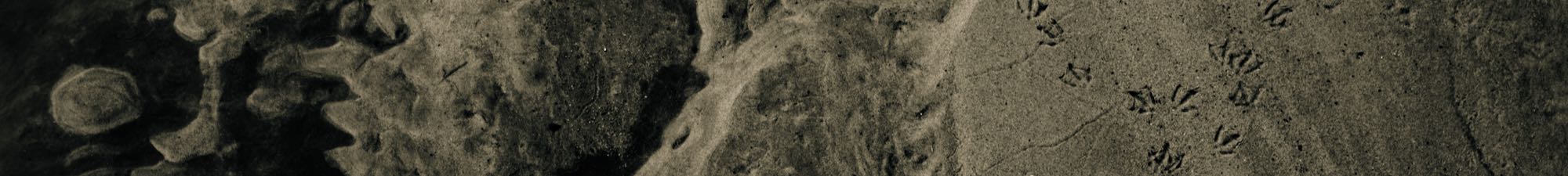 Hintergrundbild